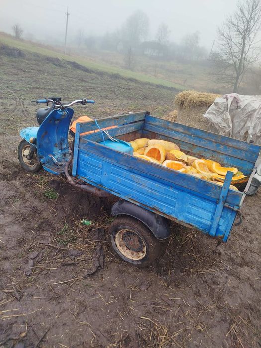 Продам муровей з документами
