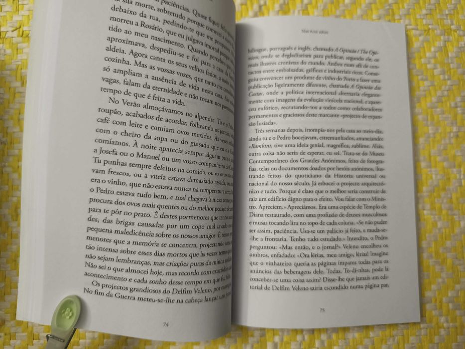 Nas tuas mãos – 
Inês Pedrosa