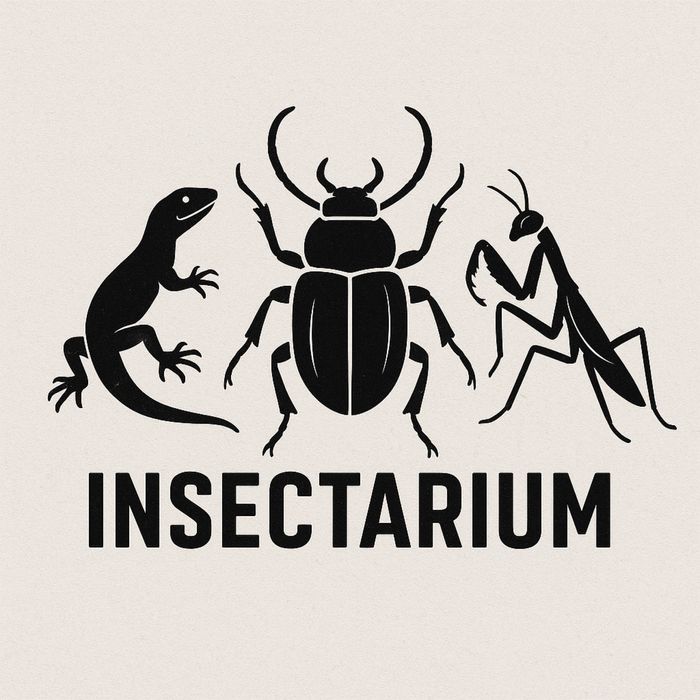 sklerocjum Physarum polycephalum - uśpiona forma śluzowca