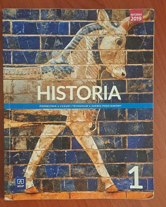 Historia 1 liceum
