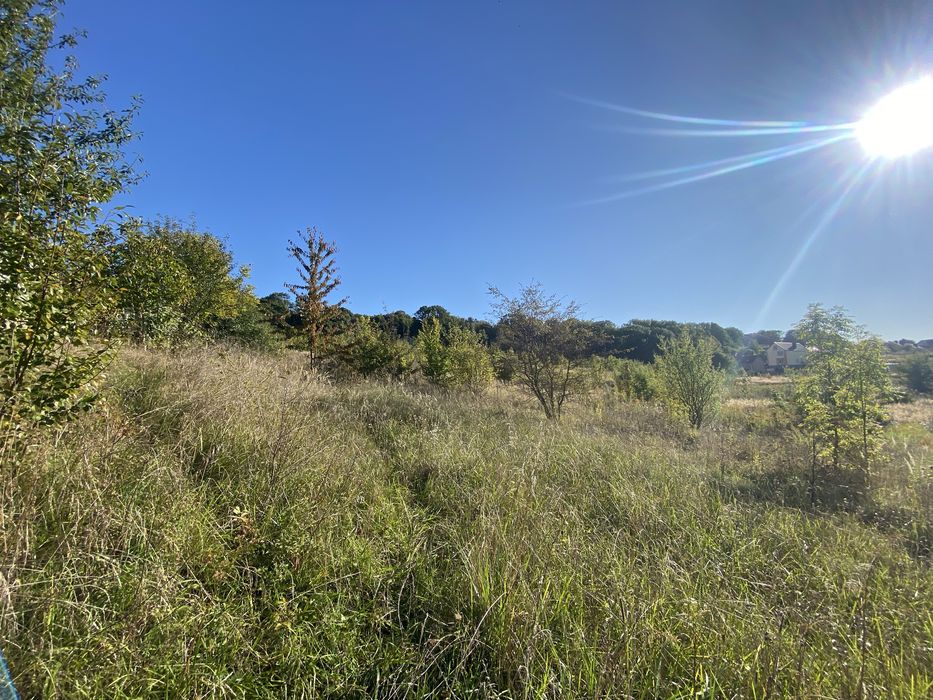 Продаю ділянку в Чистилові