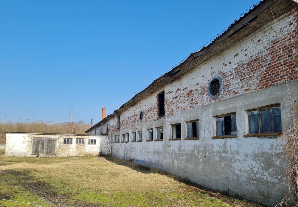 Bielenie, Mycie Malowanie Obory Kurnika Obór Kurników Hali Magazynu