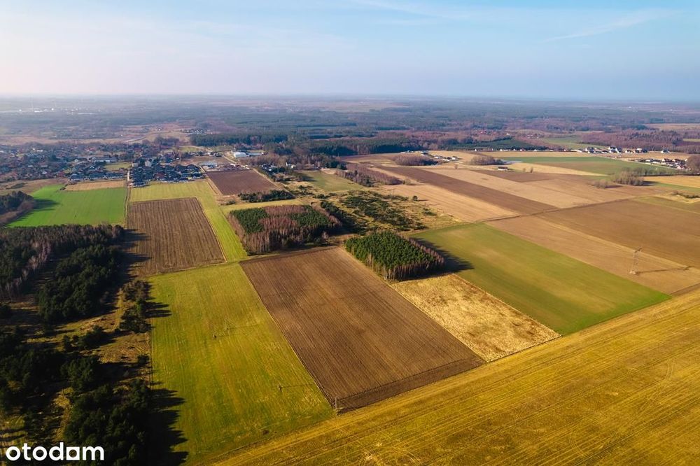 Działki na nowym osiedlu przy lesie - Widok 3