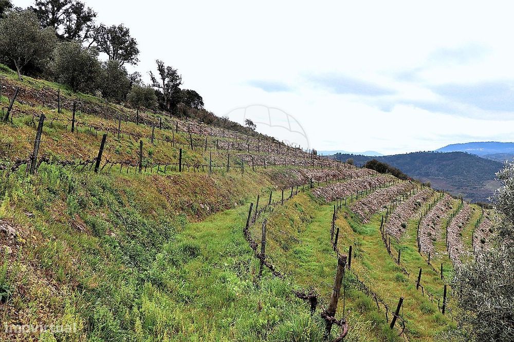 Terreno  para venda