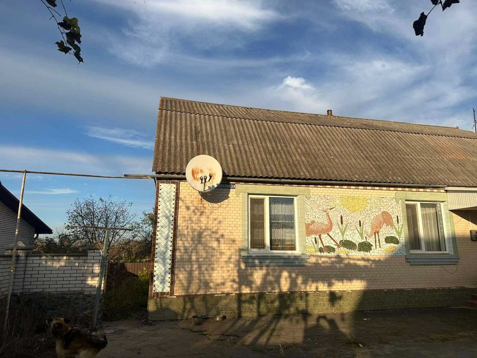 Продам будинок в селі Дорожне 8487