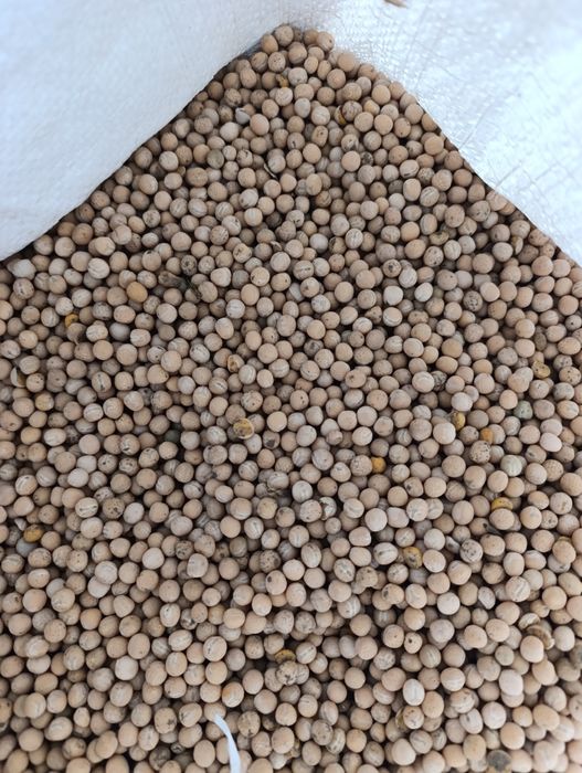 Groch, groszek, peluszka, pokarm dla ptaków 20 kg