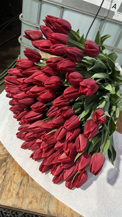 101 тюльпан =3800грн( власне виробництво)