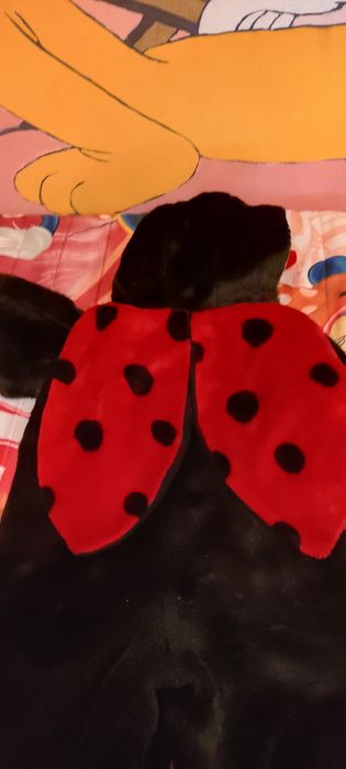 Aproveite Fato carnaval  JOANINHA quentinho