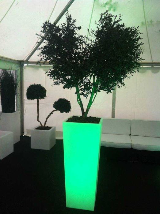 Mobiliario led vasos com iluminação