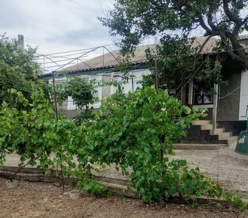 Продається будинок с.Прибужани