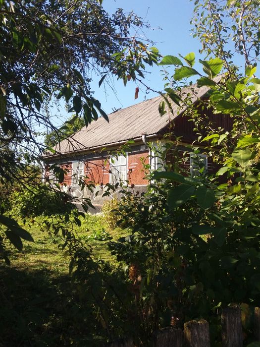 Продам будинок в селі