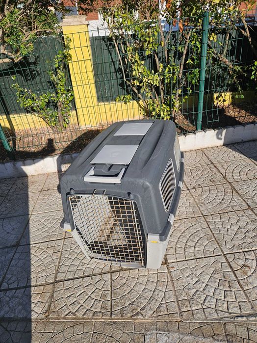 Transportadoras de cães