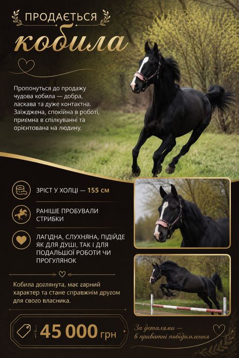 Продам ! кобыла увп смесь с рысаком