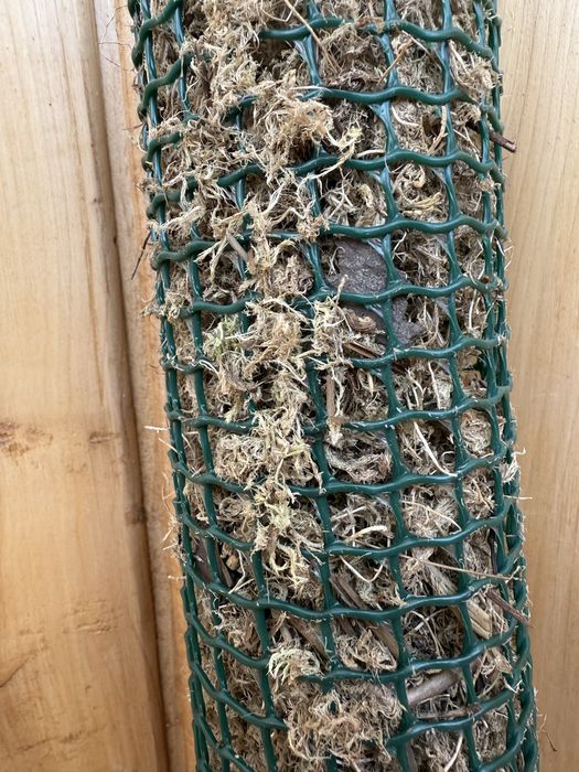 Мохова опора для кімнатних рослин