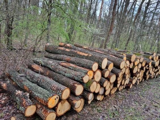 Tanie Drewno kominkowe DĄB układane opałowe z dowozem