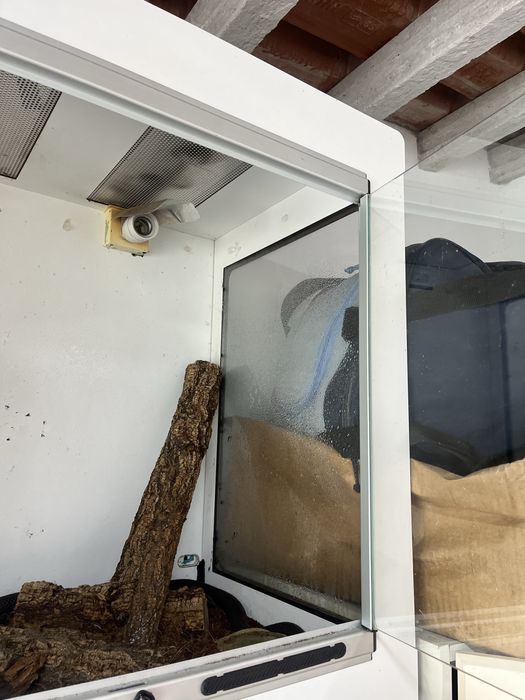 Terrario para animais exoticos