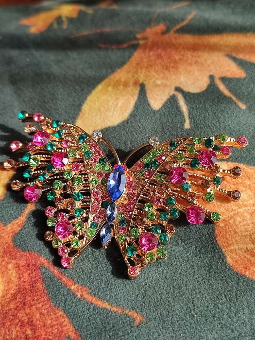 Różnobarwny  motyl