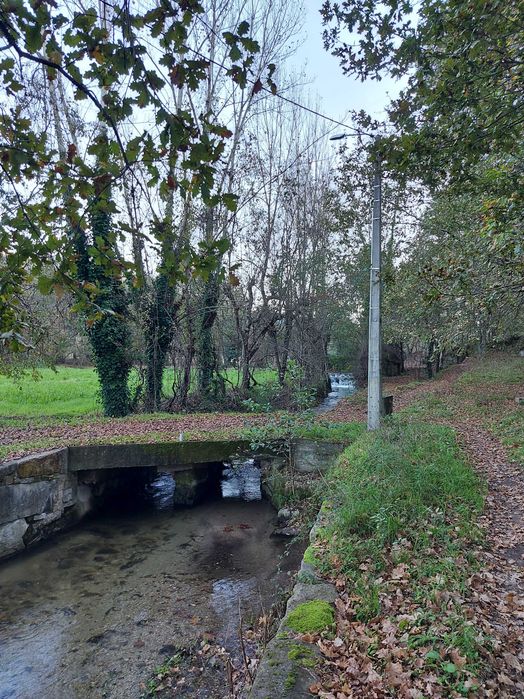 Terreno/Quinta de Lazer com 2.580 m² junto à Ribeira de Juncal | Soalhães