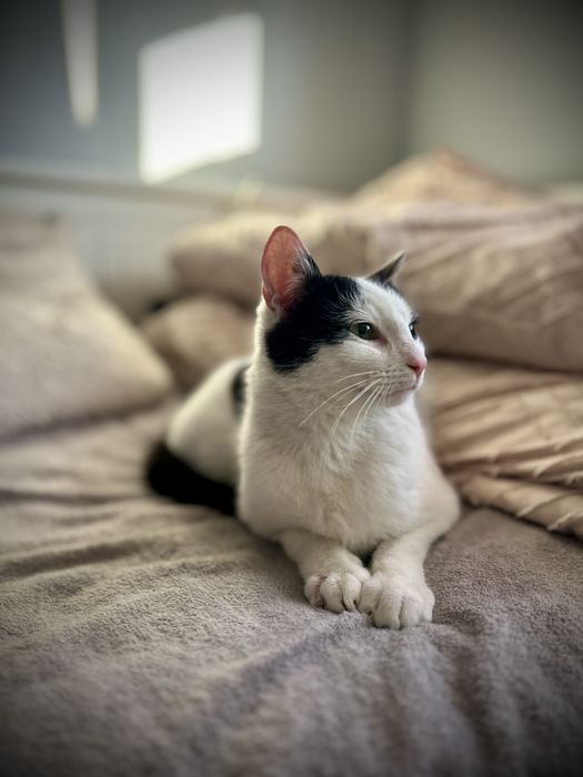 Bydgoszcz/ Cześć. Jestem Tobi…