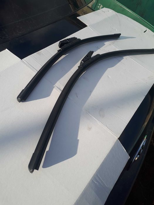 Bochn     .              .