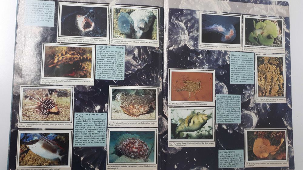 Caderneta de cromos completa O PLANETA AZUL