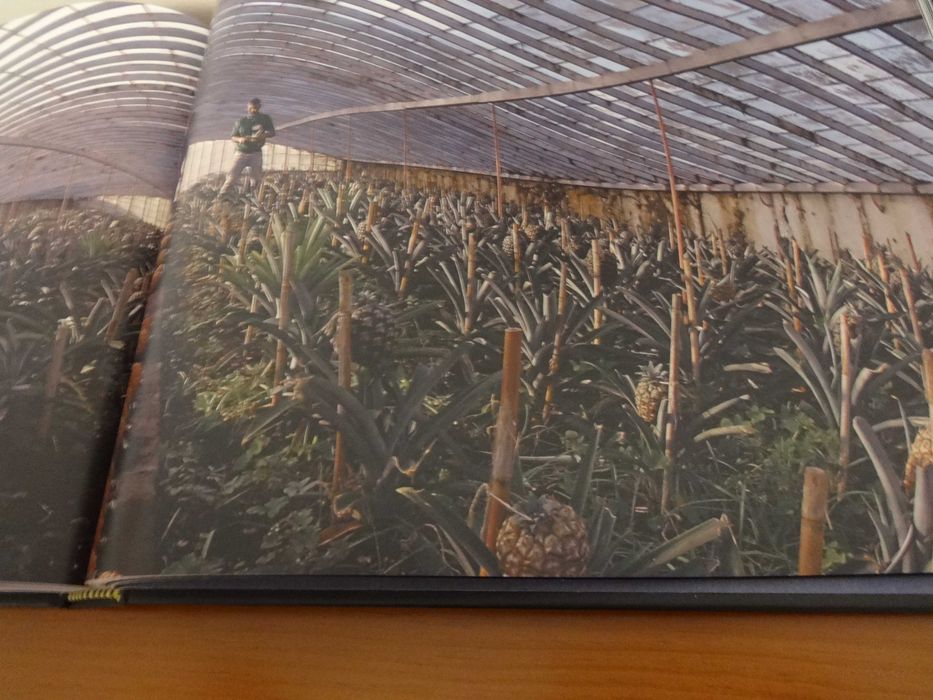 Livro "Açores – O Poema da Luz”