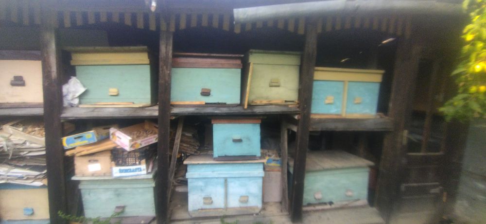 Вулик, пасіка продам