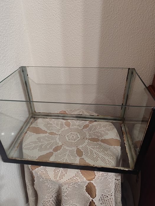 Aquário  de vidro dá para répteis