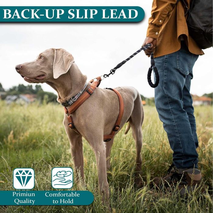 Miska dla psa i kota. Podwójna, metalowa 2 w 1 smycz gratis