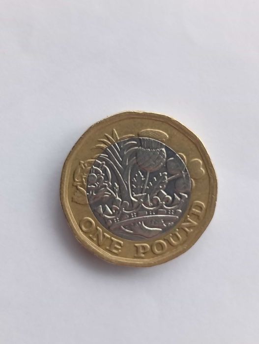 Brilhante e com defeito: moeda de Elisabeth II, one pound, 2017