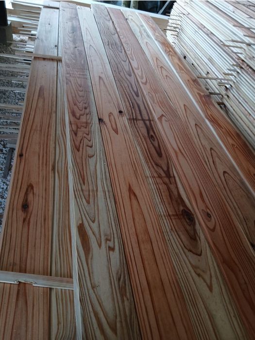 Forro de criptoméria