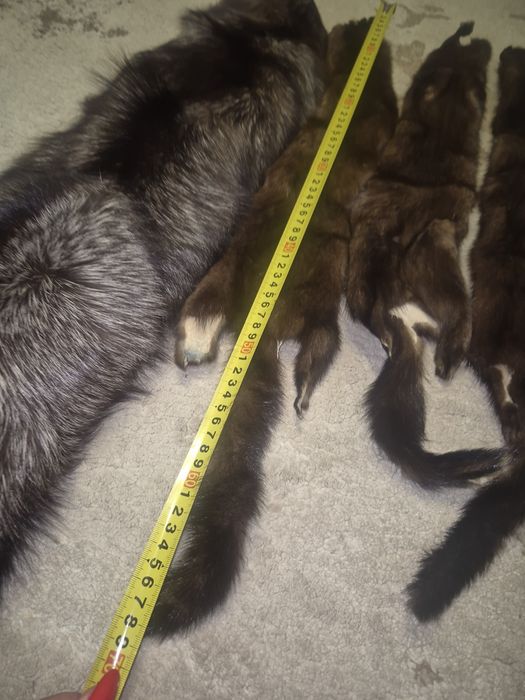 Продам мех чернобурка новый