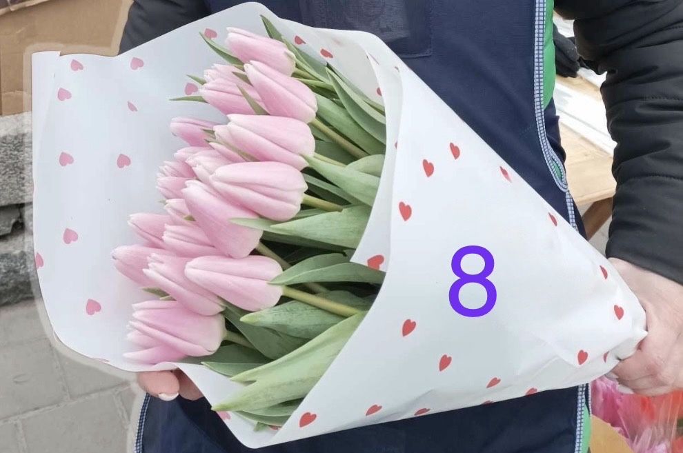 Тюльпан до 14 лютого та 8 березня