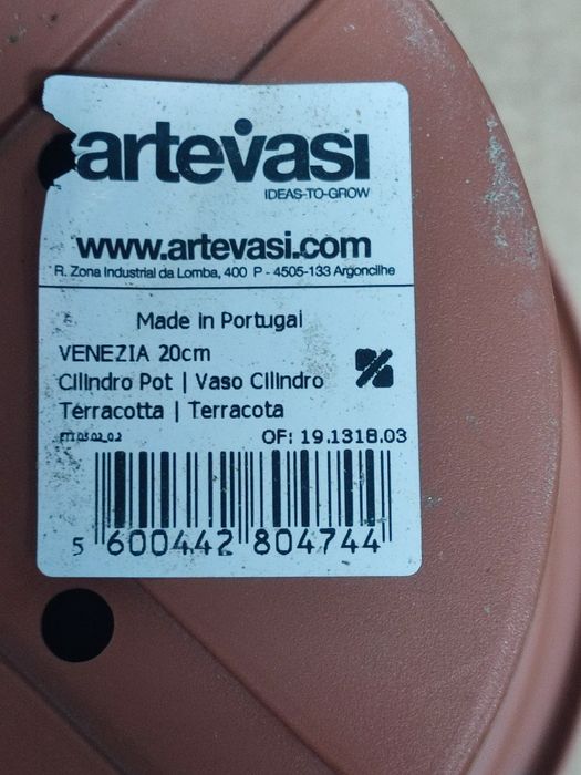 Vasos planta com prato