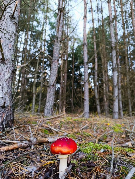 Uroczy domek z balią, jacuzzi i sauną !