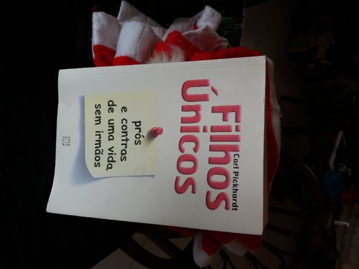 Livros revistas decoração dvd´s Alemães portugueses e ingleses