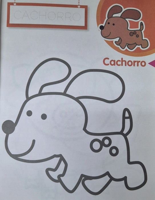 Livro Primeiras Pinturas - A Quinta