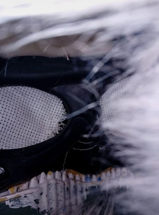 niebiesko biała dino maska koi