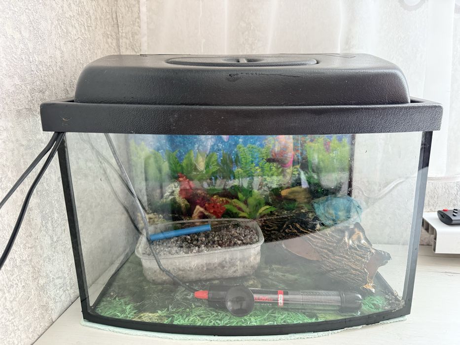 Продам акваріум ціна договорна