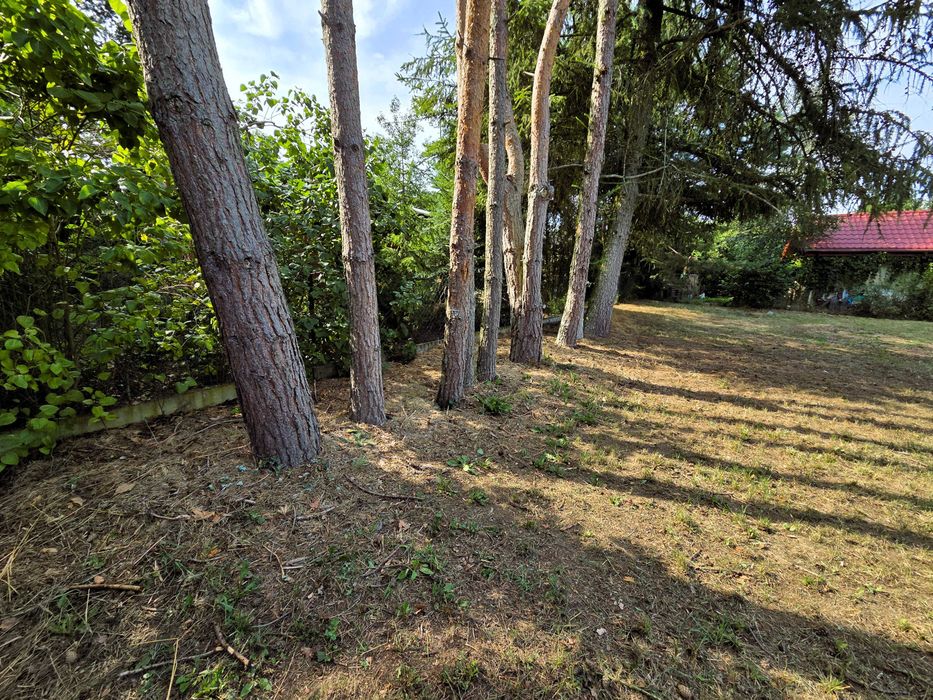 Działka ROD Sahara Witów 800 m² | Słoneczna, ogromny potencjał zabudowy! - Widok 5