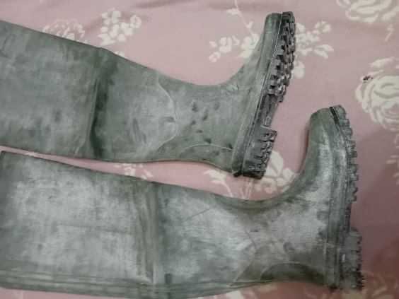 Wodery Geers R 44