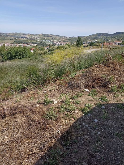 TERRENO URBANO para construção de moradia em Arruda dos Vinhos