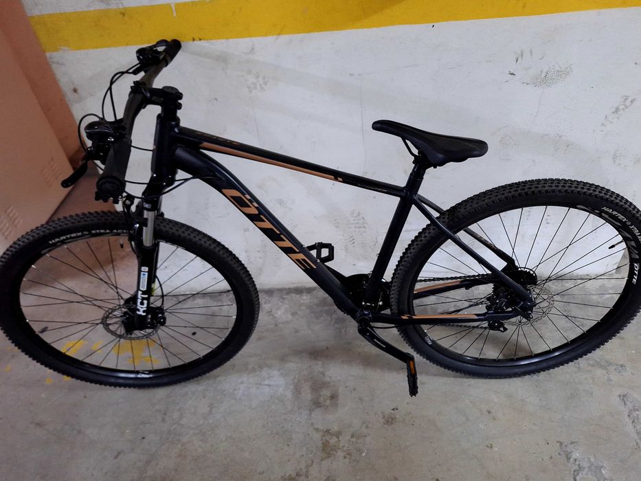 Bicicleta de montanha