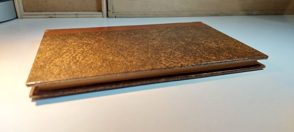 Técnica da Poesia - Olimpio Cesar