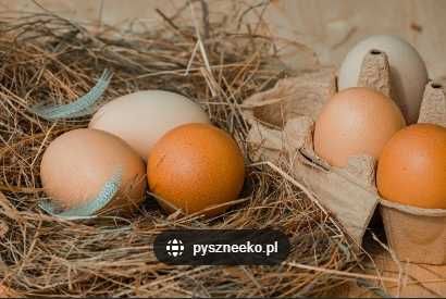 Sprzedam jajka kurze z przydomowej zagrody eko Wrocławia Trzebnica Mil