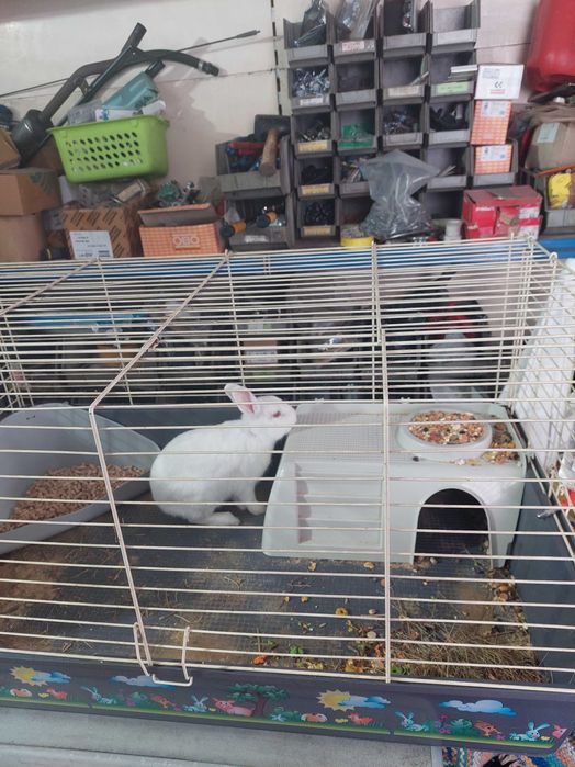 gaiola grande troco por canarios