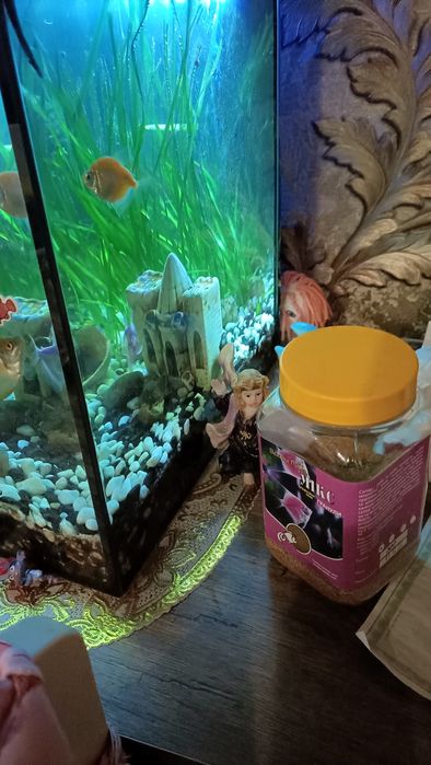 Продам аквариум со всем комплектующим .