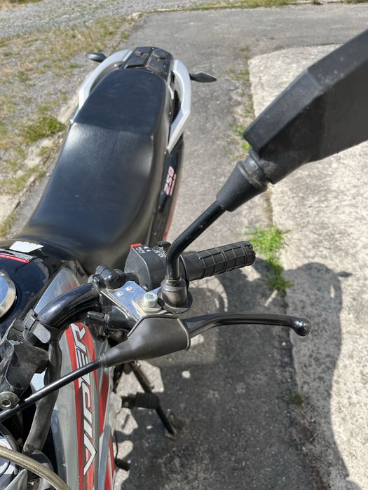 Viper V250L 2025