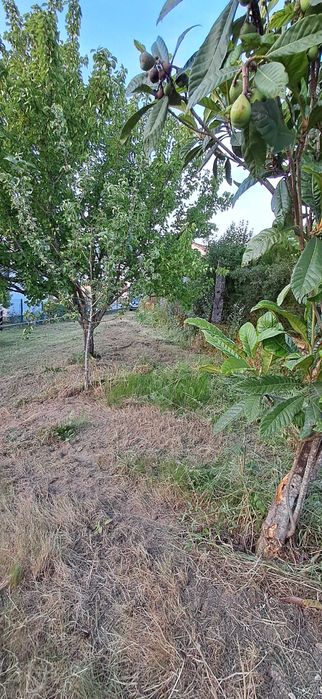 Vendo terreno construtivel