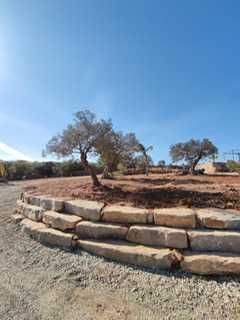 Serviços de Jardinagem e Manutenção